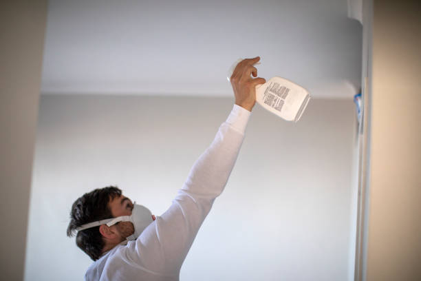 Best Water Damage Restoration  in Weaver, AL