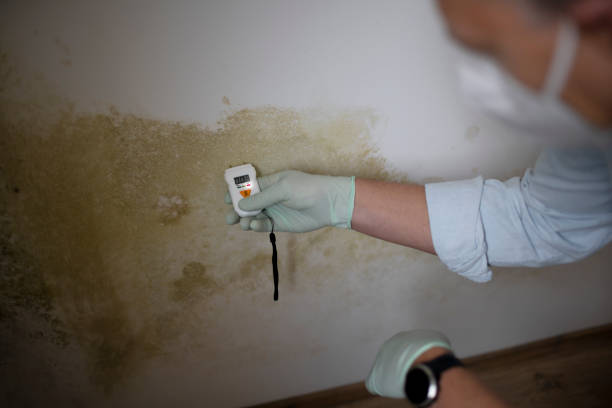 Best Crawl Space Mold Removal  in Weaver, AL