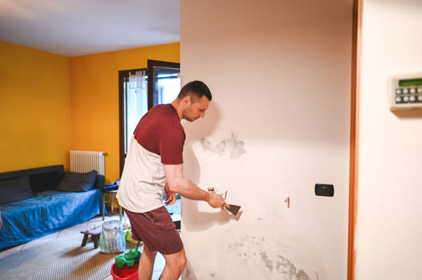 Professional Mold Removal in Weaver, AL