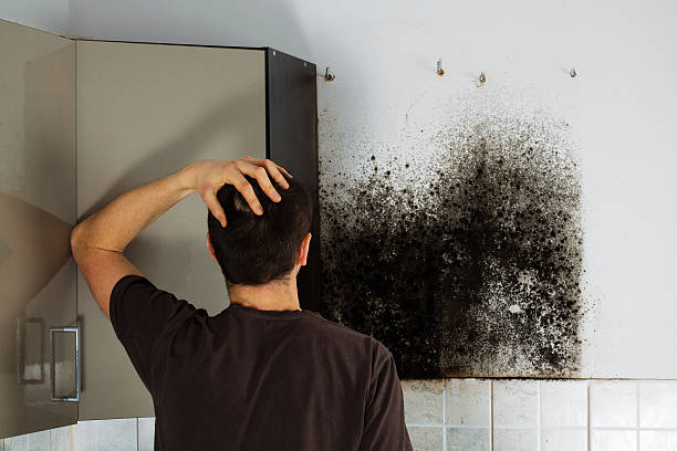 Best Home Mold Removal  in Weaver, AL
